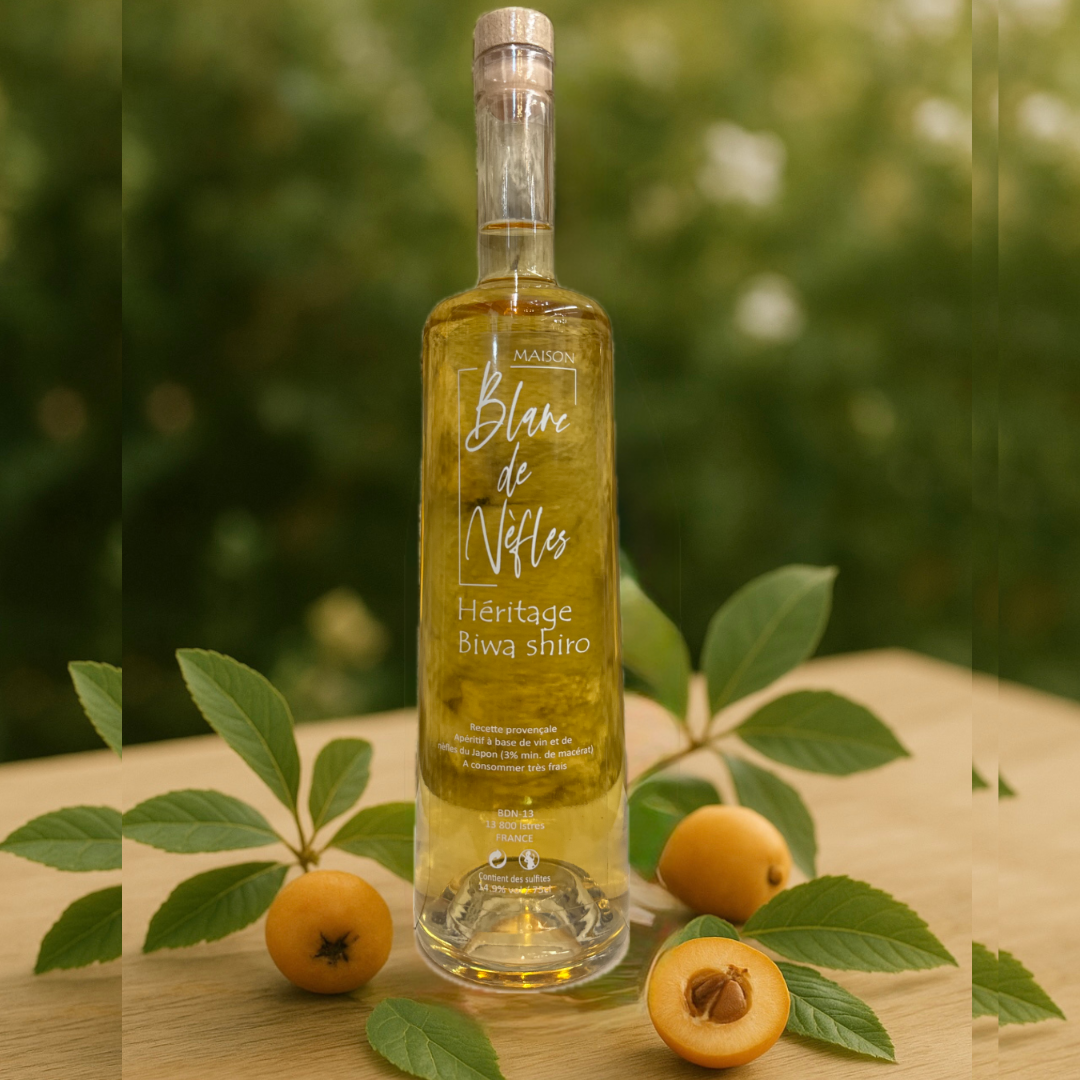 Vin Blanc de Nèfles – Héritage Biwa Shiro (75cl)