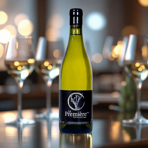 Ben & Vins – La Première Blanc 2024 – Vin de France – 75 cl Maison Molinet