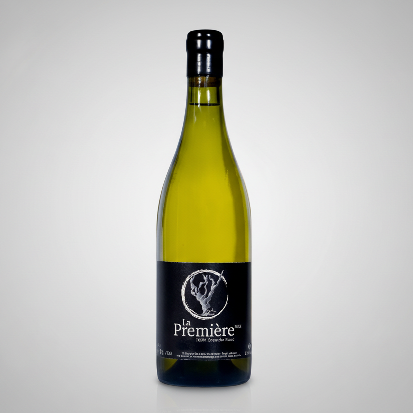 Ben & Vins – La Première Blanc 2024 – Vin de France – 75 cl Maison Molinet