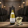Esprit Côtes-du-Rhône Blanc 2024 – Maison Brotte Maison Molinet